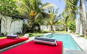 Villa Kotak Surfers Escape Reopening Rates Apply Now